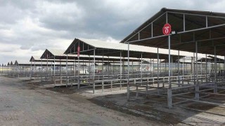 Kurban Bayramı öncesi Sivasta tüm hayvan pazarları kapatıldı