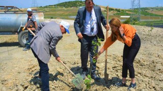 Lapsekide ağaçlandırma çalışması