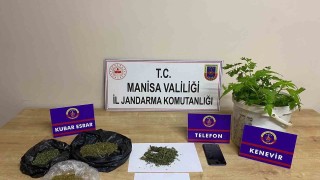 Manisa jandarmasından 389 uyuşturucu operasyonu