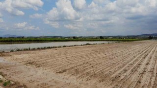 Manisada sel felaketi tarım arazilerini vurdu