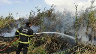 Sazlık alanda çıkan yangın söndürüldü