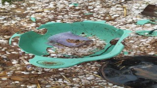 Siverekte ceviz büyüklüğünde dolu yağdı