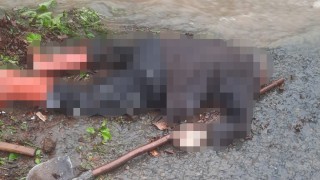 19 Mayısta büz açmaya giden şahıs ölü bulundu