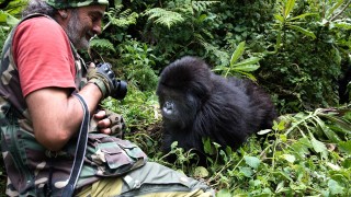 80 ülkede vahşi hayatı fotoğrafladı, gorillerle burun buruna geldi