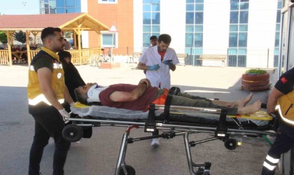 Acemi kasaplar bayrama hastanede girdi