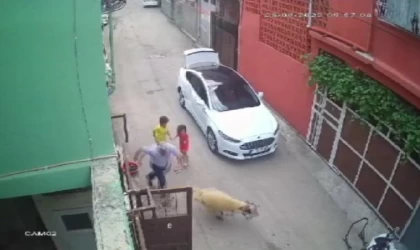 Adana’da ’Kurban Bayramı’ manzaraları (2)