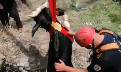 Adana’da ’Kurban Bayramı’ manzaraları (3)