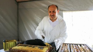 Adanadan bal hasadı başladı