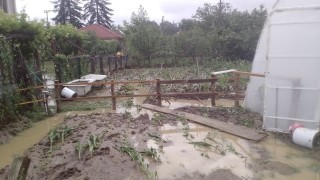 AFAD Düzce için uyardı: Çok kuvvetli sağanak yağış bekleniyor