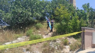 Ağaçlarında arasında ölü bulunmuştu, cinayete kurban gitmiş