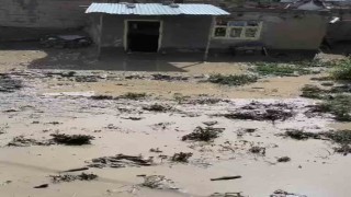 Ağrıda 3 ev selden zarar gördü