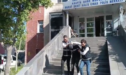 Ağrıda oto faresi yakalandı