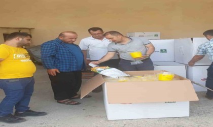 Akdeniz sineğine karşı çiftçilere tuzak dağıtıldı