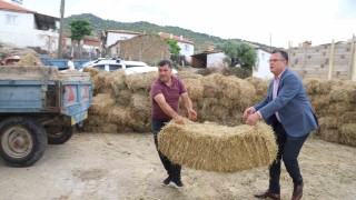 Alaşehir Belediyesi kırsal mahallerde saman dağıttı