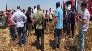 Araziye mercek düzeneği kurdular 50 dönümlük ekili tarla küle döndü