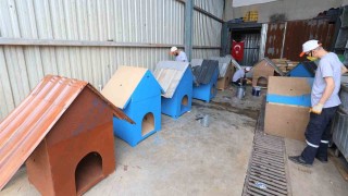 Atık malzemeler sokak hayvanlarına yuva oluyor