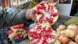 Avrupa Birliğinden Suruç narı kararı