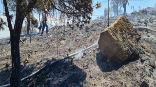 Ayvalıkta kırsal alan yangınına bir helikopter ve iki yangın söndürme uçağı ile müdahale edildi