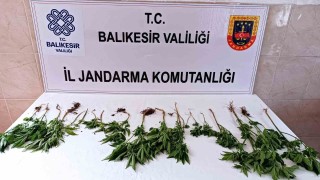 Balıkesirde uyuşturucu operasyonunda iki kişi yakalandı