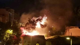 Bandırmada otluk alanda çıkan yangın korkuttu