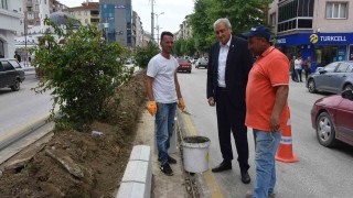 Başkan Bakkalcıoğlu çalışmaları inceledi