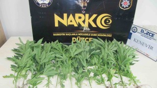 Binanın terasına uyuşturucu ekmiş