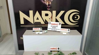 Bismilde asayiş uygulaması: 8 tutuklama