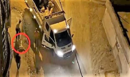 Bismil’de köpekleri sürükleyerek kamyonete yükleyen görevliler hakkında işlem