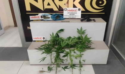 Bismilde narkotik operasyonu: 2 gözaltı