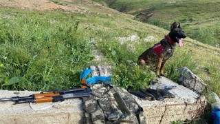 Bitlis merkezli silah kaçakçılığı operasyonu