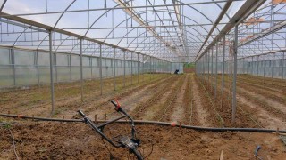 Bu bölümde iş garantisi var