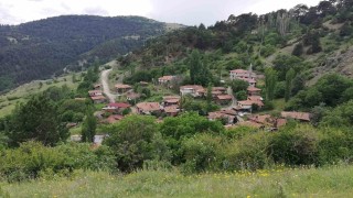 Bu köyde sandıktaki tüm oylar Cumhurbaşkanı Erdoğana çıktı