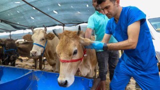 Bucada Kurban Bayramı öncesi ekipler denetimde