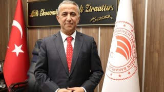 Buğday ve arpada TMO alım fiyatları açıklandı