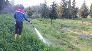 Burhaniyede Mezarlıklar bayrama hazırlanıyor