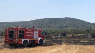 Burhaniyede otluk alanda yangın
