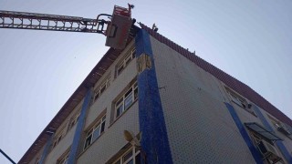 Çatıda mahsur kalan baykuşları itfaiye kurtardı