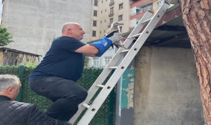 Çatıdan düşen yavru martıya vatandaşlardan şefkat eli