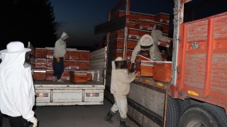 Çiftçiye arılı kovan dağıtıldı
