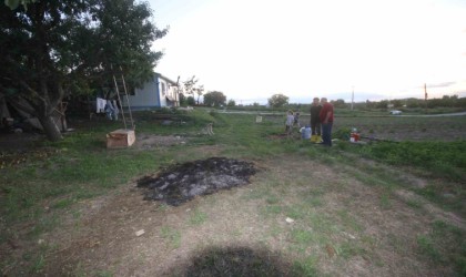 Çiftlikteki köpeğe saldıran kurt kamerada