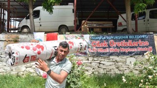 Çilek üreticisine büyükşehirden naylon desteği