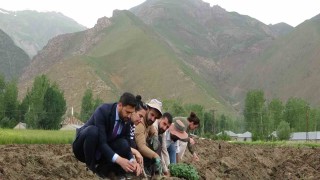 Cilo Dağı eteklerinde kapya biber ve domates üretimi