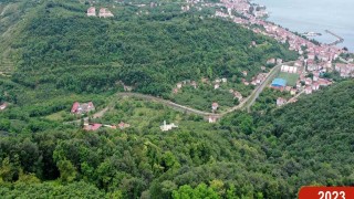 Çöp dağından yeşil ormana