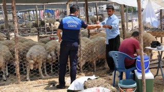 Çukurovada Kurban satış yerleri belirlendi