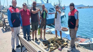 Cunda Adasında deniz dibi temizliği yaptılar