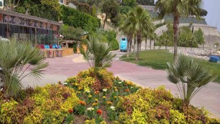 Darıcada park ve bahçeler yenileniyor