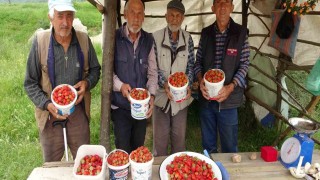 Demirciören çileği tezgahlarda