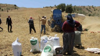 Devlet desteğiyle atıl durumdaki arazi tarıma kazandırıldı