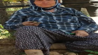 Devrilen traktörün altında kalan kadın öldü