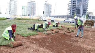Diyarbakırda bulvar yeşillendirme çalışmaları devam ediyor